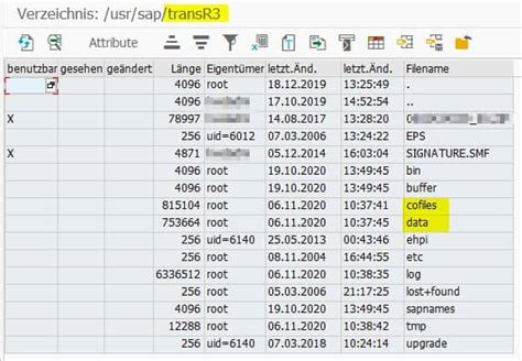 SAP: Transportieren in ein externes SAP.